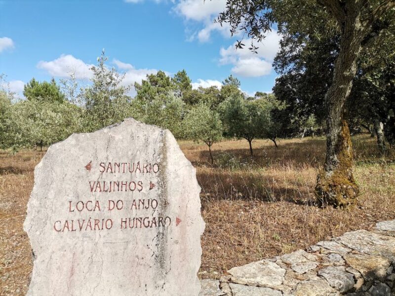 Fátima Full-Day Private Personalized Tour from Lisbon - Why Choose This Fátima Tour?