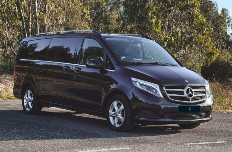 Fátima Full Day Private Tour - Authentic Feedback from Travelers