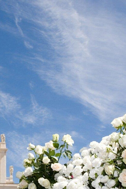 Fátima Holy City Full Day Tour - Key Points