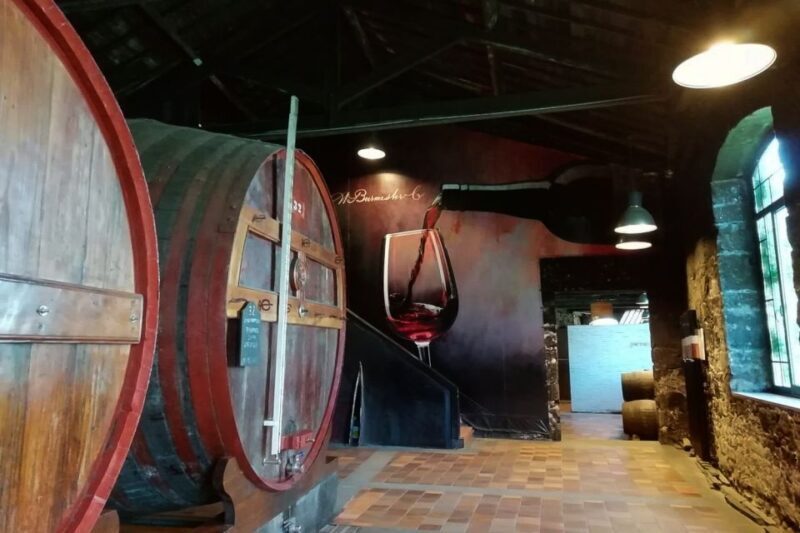 Fátima: Private Porto Tour - A Closer Look at the Experience