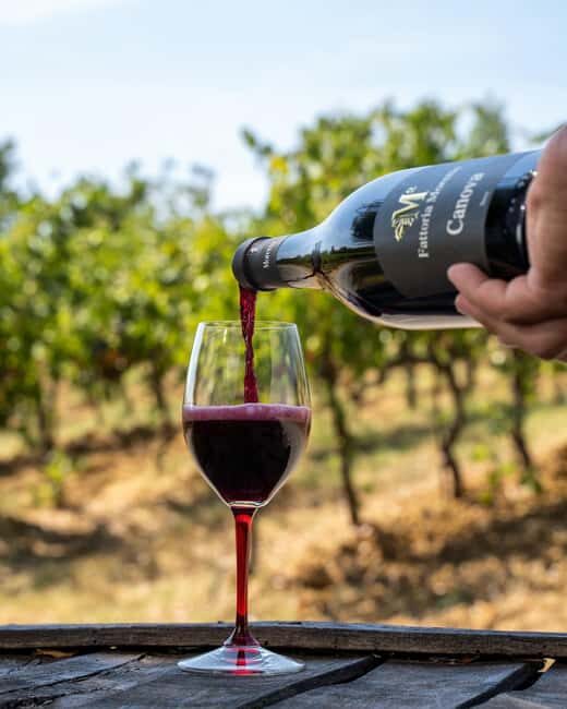 Fattoria Moretto: Lambrusco Grasparossa di Collina Tour - Is it Worth the Price?
