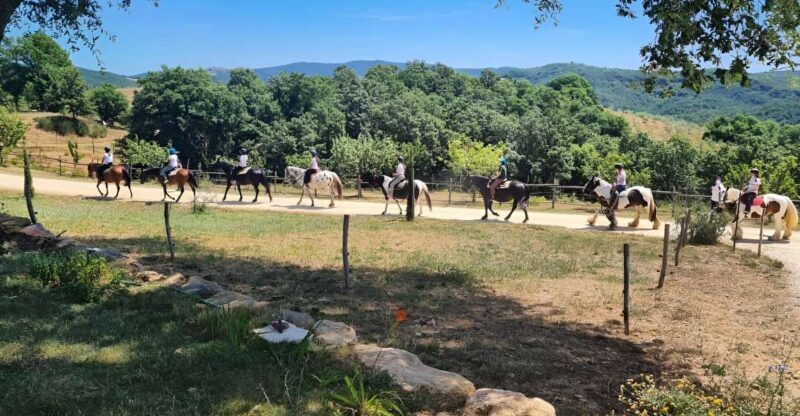 Fattoria Tègoni: horseback riding in Tuscany - Key Points