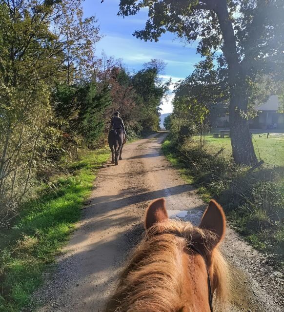 Fattoria Tègoni: horseback riding in Tuscany - Who Would Love This Tour?
