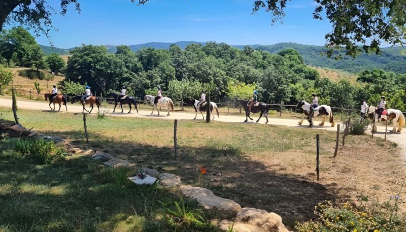 Fattoria Tègoni: horseback riding in Tuscany - FAQ