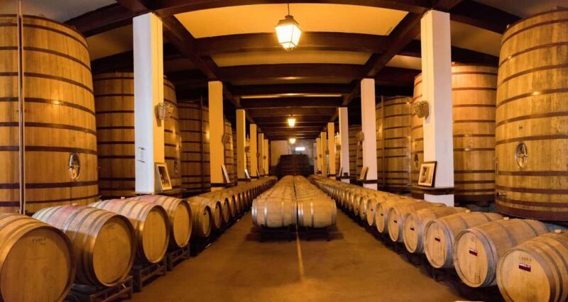 Favaios: Discover the Douro's hidden sweet secret, starting in Porto - What to Expect from the Tour