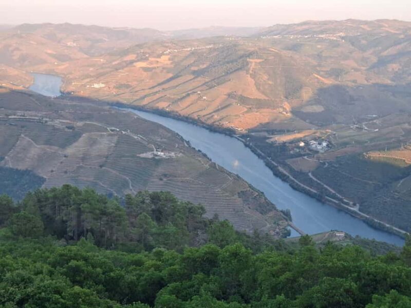 Favaios: Discover the Douro's hidden sweet secret, starting in Porto - Final Thoughts