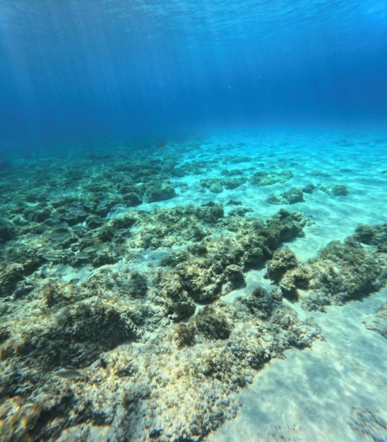 Favignana, Excursions by Dinghy from Marsala - Final Thoughts