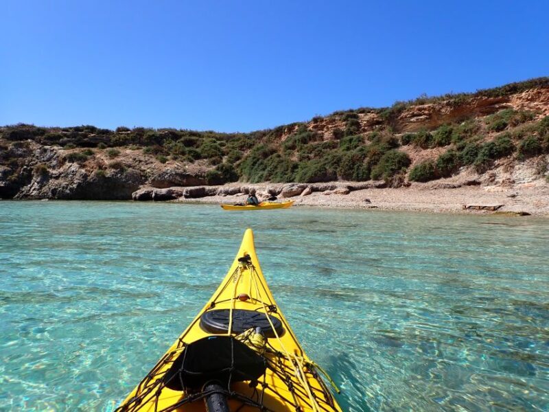 Favignana: kayak excursion, snorkelling and adventure - Indulging in Sicilian Cuisine