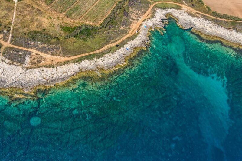 Fazana: Brijuni National Park Scenic Boat Tour & Swimming - What the Reviews Say