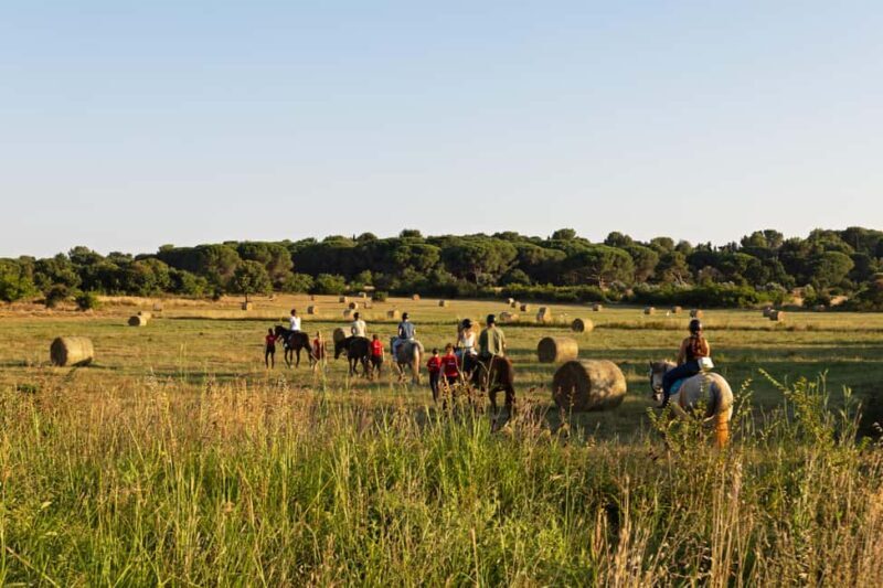 Fazana: Sunset 1-hour Horse Riding in Nature with Guide - A Closer Look at the Fažana Sunset Horse Ride