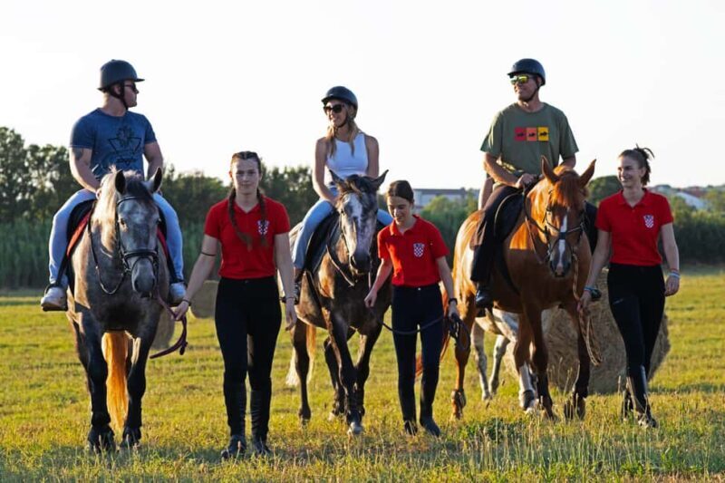 Fazana: Sunset 1-hour Horse Riding in Nature with Guide - FAQ