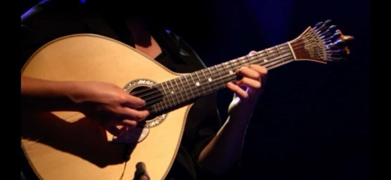 FC Porto Stadium, Lunch, Wine Cellar Tour and Fado Show - Exploring Porto in a Day: FC Porto Stadium, Wine, and Fado