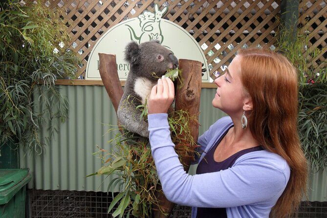 Featherdale Wildlife Park with Exclusive Private Transfers - The Price and Its Reflection of Value