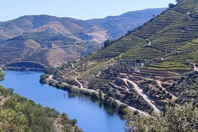 Feel Douro Tour - How the Tour Works in Practice