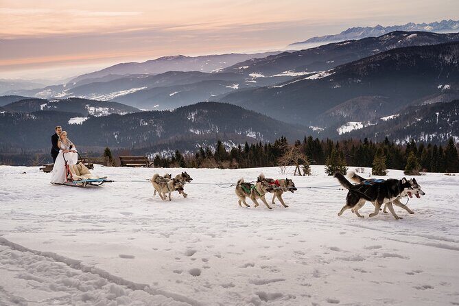 Feel the Magic of Winter with Thrilling Arctic Dog Sled Rides - Key Points