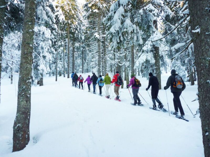 Feldberg: Guided Snowshoeing Tour in the Black Forest - The Instruction and Group Dynamics