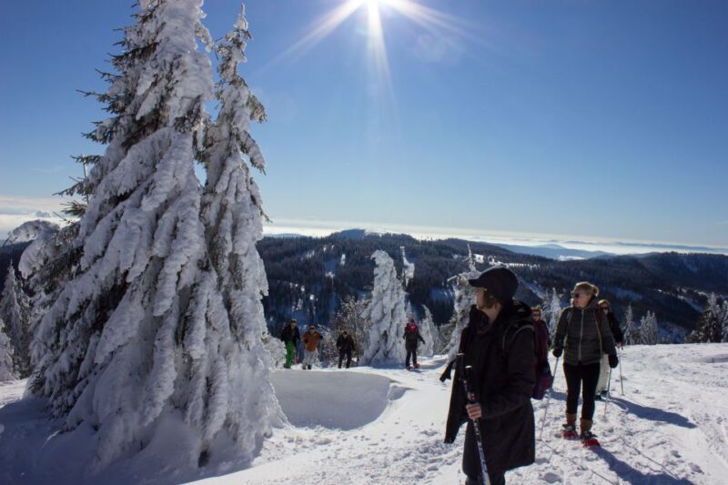 Feldberg: Guided Snowshoeing Tour in the Black Forest - Value for Money