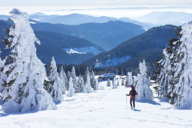 Feldberg: Guided Snowshoeing Tour in the Black Forest - Who Will Enjoy This Tour?