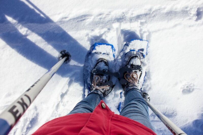 Feldberg: Guided Snowshoeing Tour in the Black Forest - FAQ