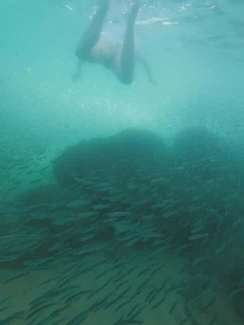 Ferragudo: Private Guided Kayak & SUP Tour - FAQ