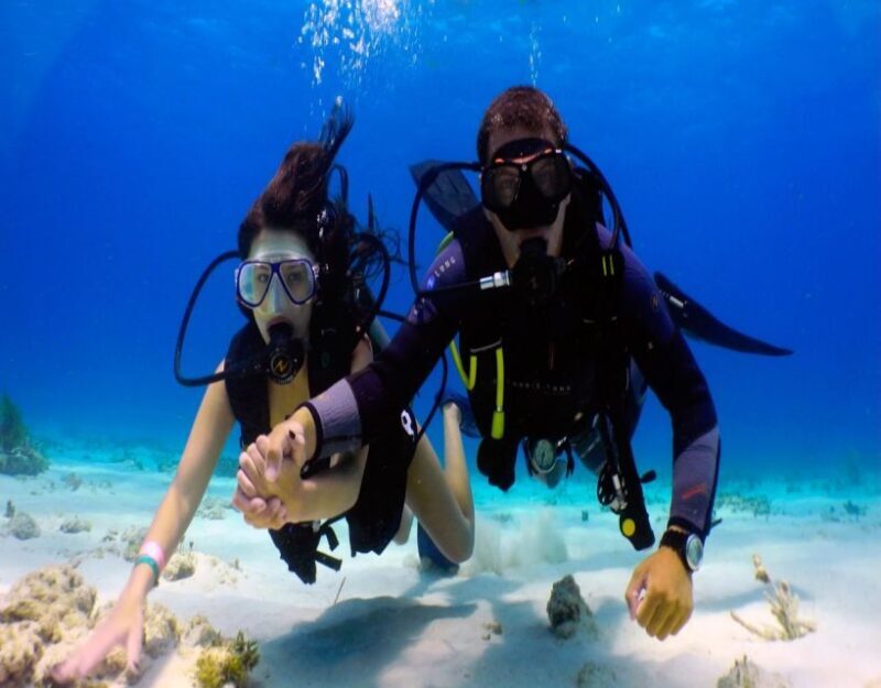 Fethiye: 2 Guided Scuba Dives with Lunch and Hotel Transfers - The Experience for Different Travelers