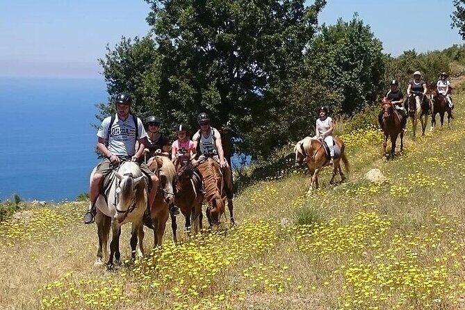 Fethiye Horse Riding Experience - What to Expect on the Fethiye Horse Riding Tour