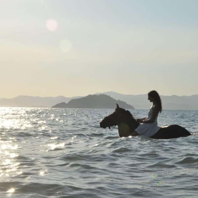Fethiye Horse Riding in the Sea, Botanical Forest, Beach and Coastal Horseback Riding - The Experience We Loved