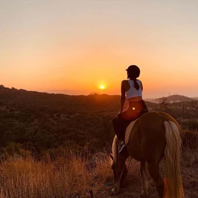 Fethiye Horse Safari Tour, Forest and Hisaronu View - The Farm Experience and Additional Activities