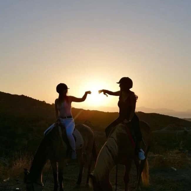 Fethiye Horse Safari Tour, Forest and Hisaronu View - The Practical Details