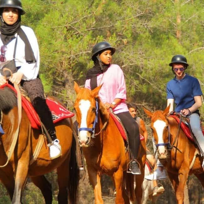 Fethiye Horse Safari Tour, Forest and Hisaronu View - FAQ