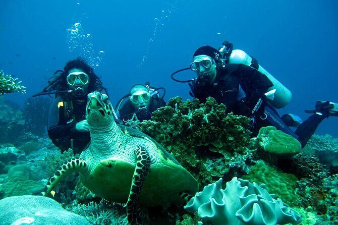 Fethiye Scuba Diving Experience By A Local Expert - Why This Tour Stands Out