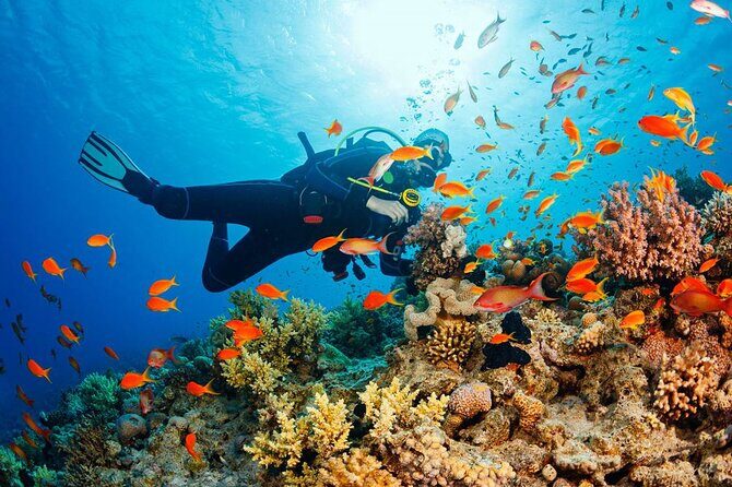 Fethiye Scuba Diving Experience By A Local Expert - Frequently Asked Questions