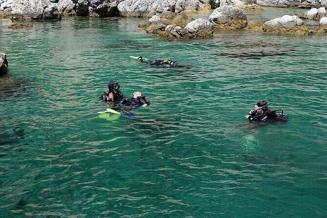 Fethiye Scuba Diving with Transfer, 2 Dives and Lunch - Who Is This Tour Best For?