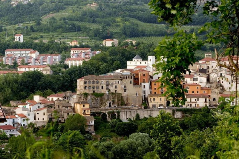 Feudi di San Gregorio: Wine Tasting Experience - An In-Depth Look at the Feudi di San Gregorio Wine Tour