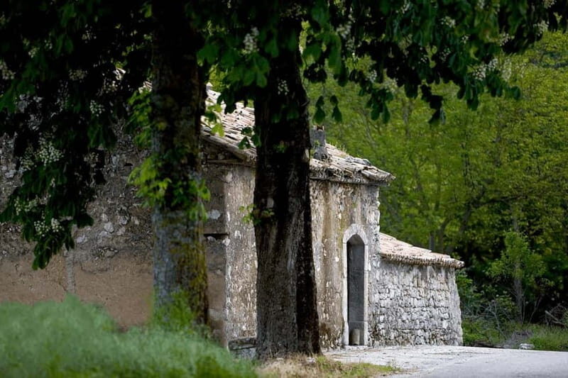 Feudi di San Gregorio: Wine Tasting Experience - Final Thoughts