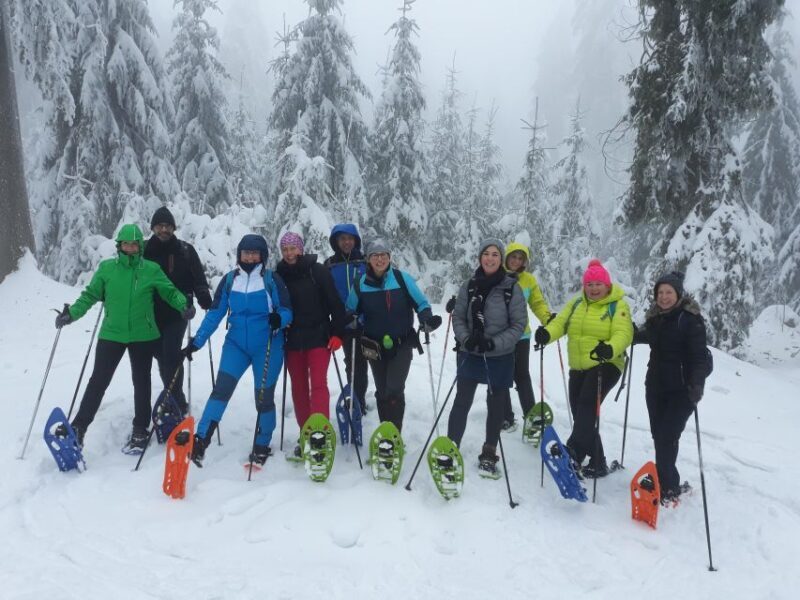 Fichtelgebirge: snowshoe hike - Final Thoughts: Is It Worth It?