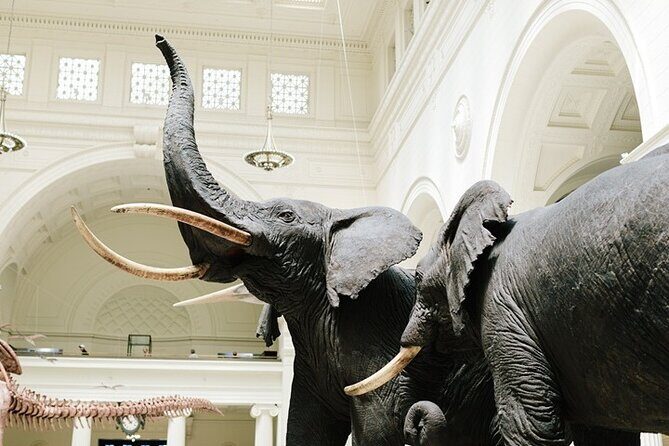 Field Museum Basic Admission Ticket with Tasting Experience - A Deep Dive into the Experience