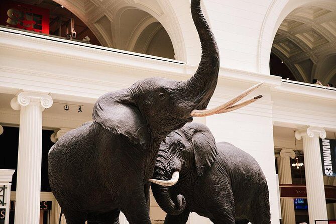 Field Museum of Natural History All-Access Pass - Key Points