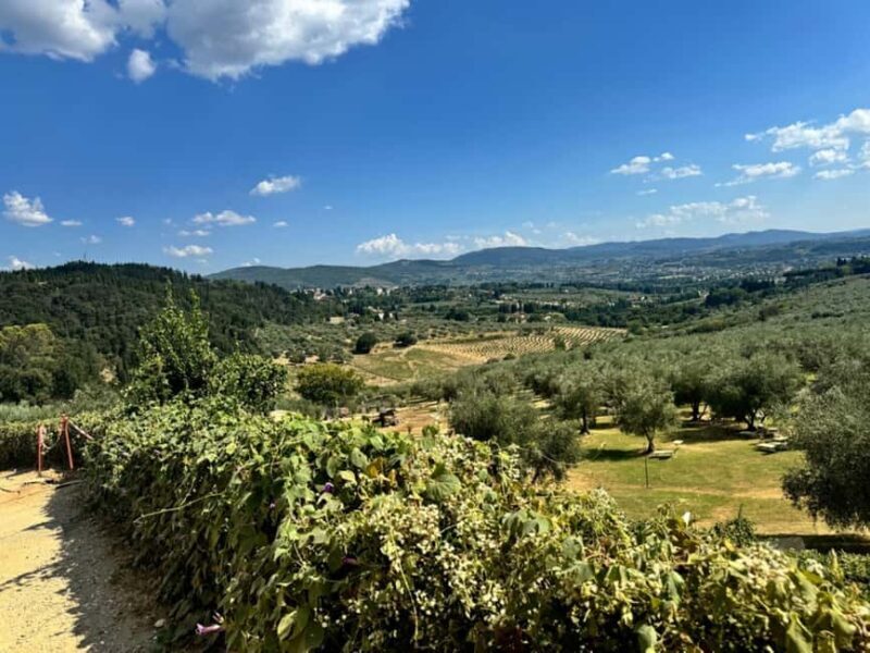 Fiesole E-Bike Tour with Olive Oil Tasting or Pool & Chill - Food, Drink, and Local Flavors