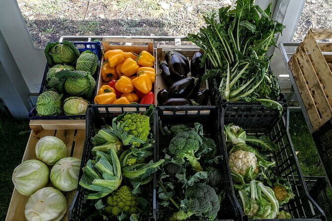 Fiesole: Tuscan Countryside Half Day E-Bike Tour & Farm visit - The Sum Up