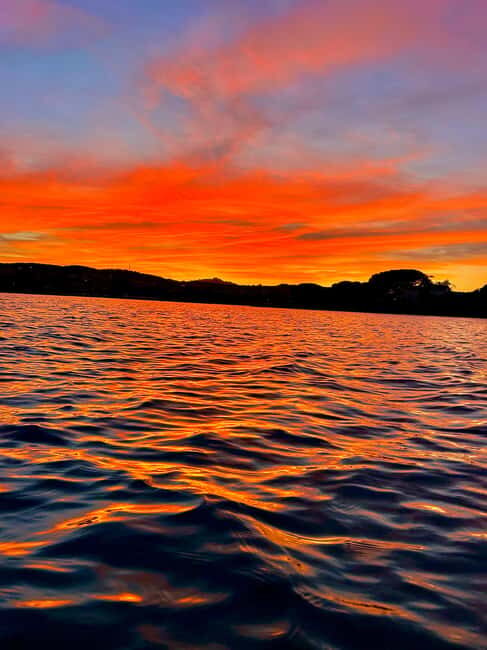 Figarolo Island: a boat trip with a sunset aperitif - An overview of the experience