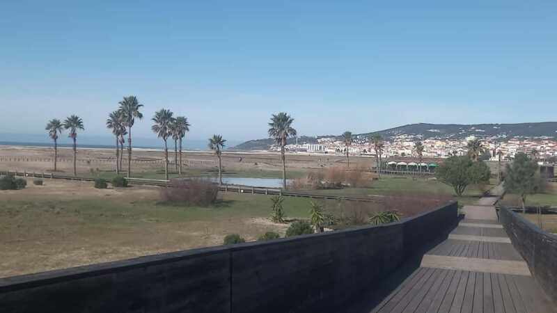 Figueira da Foz: Guided Walking Tour to a coastal town - How This Tour Compares and Who Will Love It