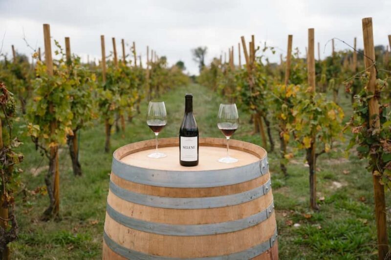 Figueres: Wine Tasting & Picnic with Artisan Products - What Could Be Improved?