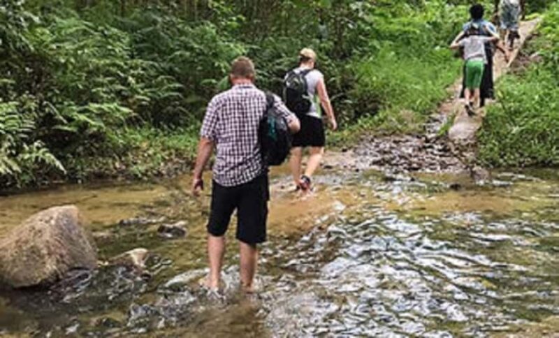 Fiji: Biasevu Village and Waterfall experience with Lunch - A Closer Look at the Tour Itself