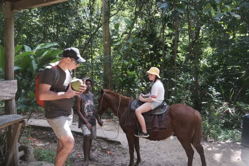Fiji: Biasevu Village and Waterfall experience with Lunch - What Other Travelers Say