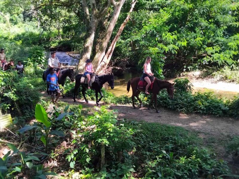 Fiji Biausevu waterfall & Village Tour - The Experience: What Travelers Say