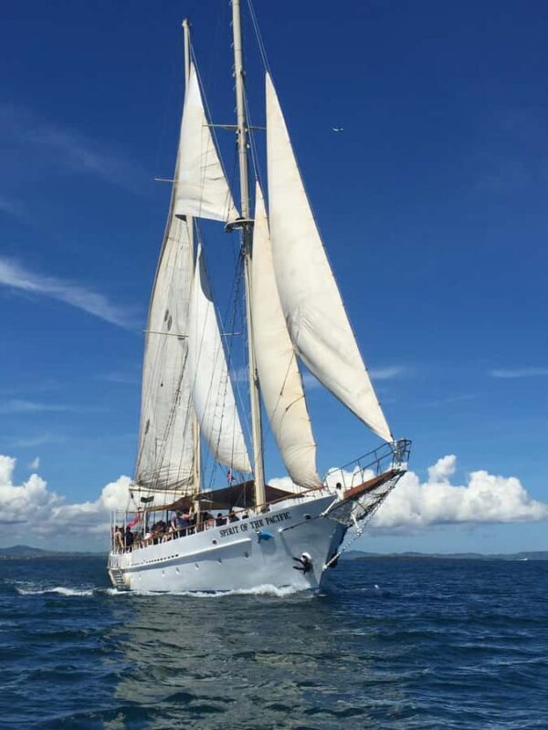 Fiji: Captain Cook Cruises - Island & Reef Day Trip - Key Points