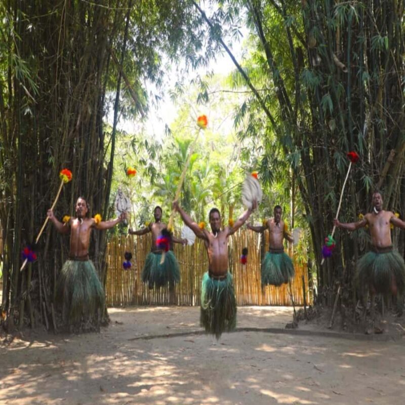 Fiji: Cultural Village Evening Tour with Dinner and Show - Final Thoughts