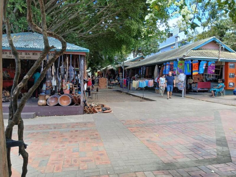 Fiji: Discover Nadi with Sabeto Hotspring and Mudpool Tour - A Closer Look at the Experience