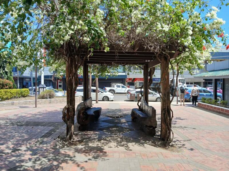 Fiji: Discover Nadi with Sabeto Hotspring and Mudpool Tour - Who Is This Tour Best For?